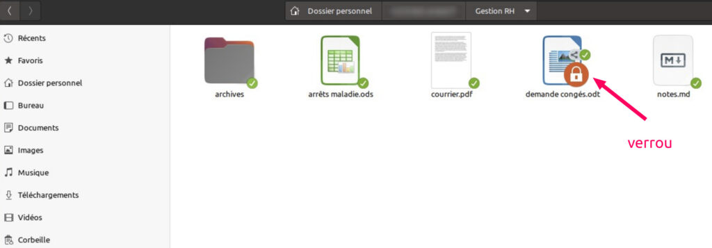 Nextcloud 24 : amélioration des performances et de l'écosystème d'applications 9 Explorateur de fichiers avec une image de verrou orange sur un fichier