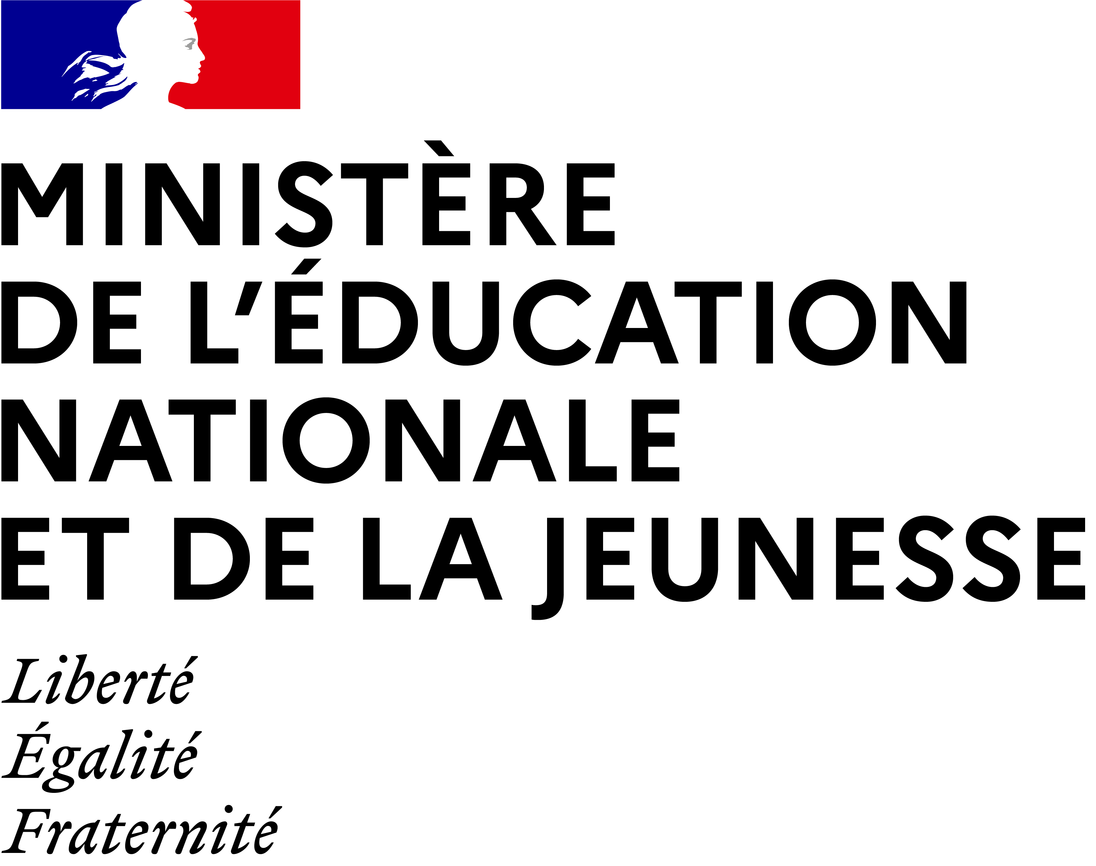 Ministère de l'Éducation Nationale et de la Jeunesse - Arawa - BigBlueButton